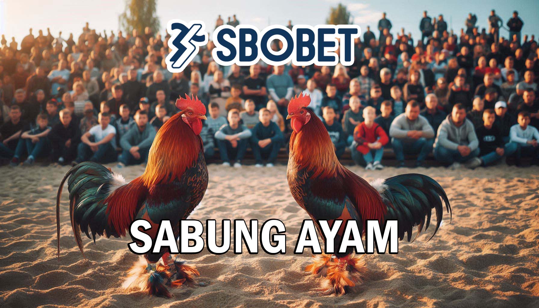 Situs Taruhan Sabung Ayam Online SBOBET Terbaik